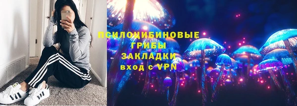 дурь Белокуриха