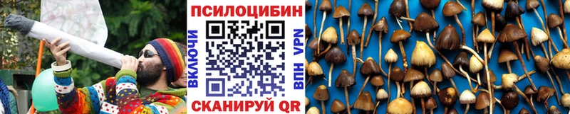 хочу   blacksprut сайт  Псилоцибиновые грибы Magic Shrooms  Куса 
