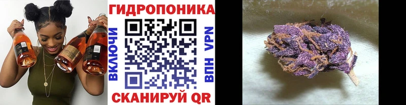 магазин продажи   Куса  Марихуана сатива 